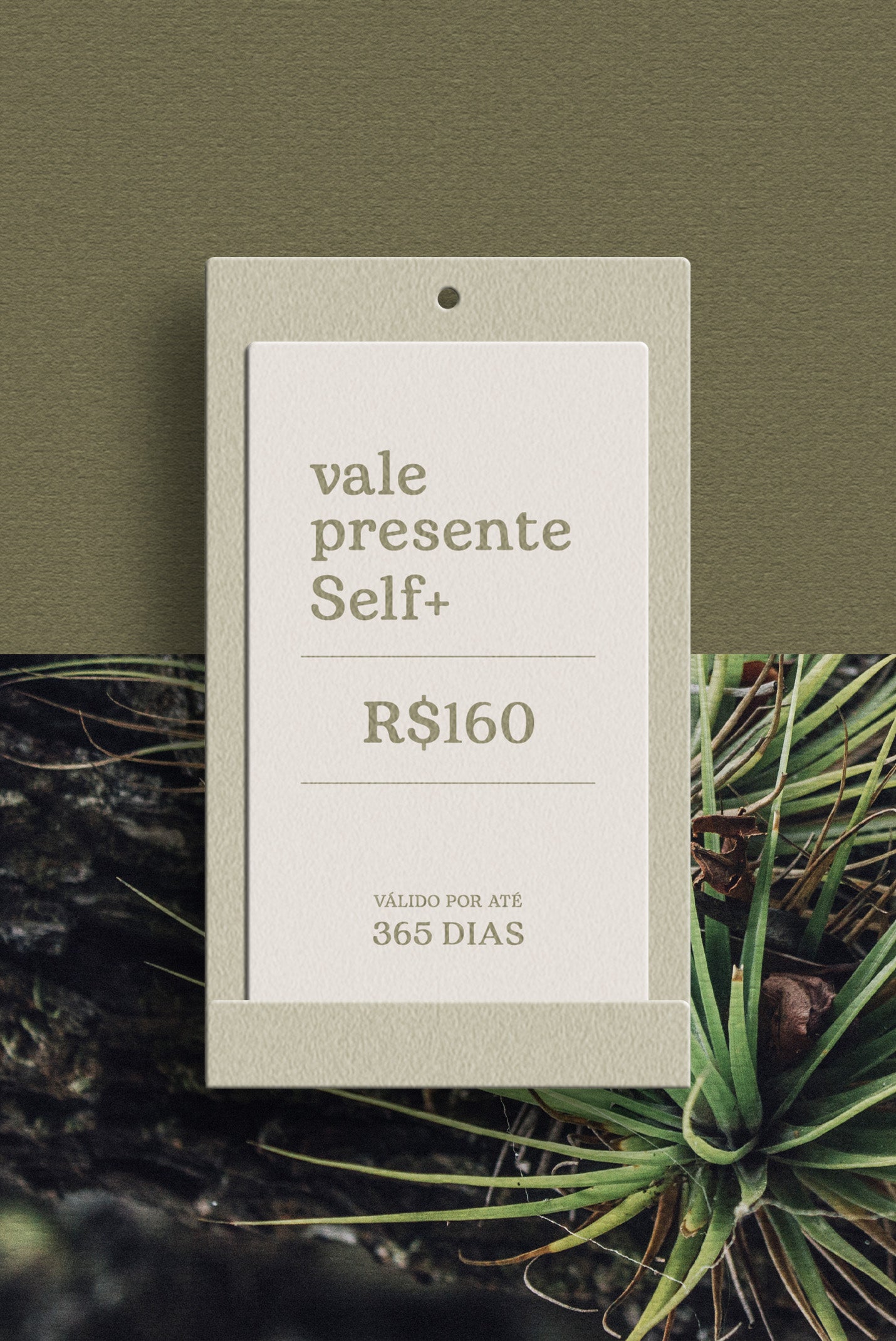 Vale-presente Self+ R$160